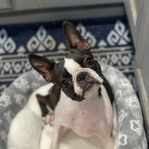 Meet your Posher, Kate